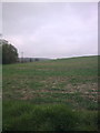 TM3769 : Fields off the entrance to Park Cottage by Geographer