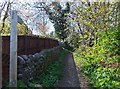 NT9927 : Bridleway near youth hostel, Wooler by Barbara Carr