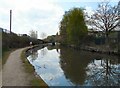 SJ9398 : Ashton Canal by Gerald England