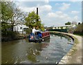 SJ9398 : Red Admiral on the Ashton Canal by Gerald England