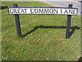 TM3886 : Great Common Lane sign by Geographer