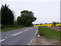 TM3989 : B1062 Bungay Road, Barsham by Geographer