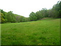 SH9377 : Meadow near Nant y Bella by Michael Graham