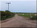 NT9655 : Track into Bogend Farm by Barbara Carr