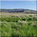 NH5646 : Railway on an embankment, by the Beauly Firth by Craig Wallace