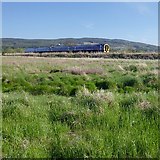  : Railway on an embankment, by the Beauly Firth by Craig Wallace