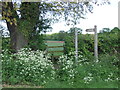 TQ5596 : Public footpath and stile, South Weald Common by Malc McDonald