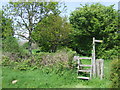 TQ3317 : Stile on the Sussex Border Path by Malc McDonald