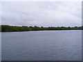 TM1337 : Alton Water Reservoir by Geographer