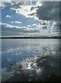 NX8450 : Tidal sands at Auchencairn Bay by Walter Baxter