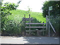 TQ4987 : Public footpath near Romford by Malc McDonald