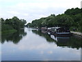 TL3602 : River Lea (or Lee) near Cheshunt by Malc McDonald