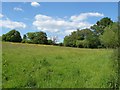 SU9871 : Rural view near Englefield Green by Alan Hunt