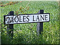 TM3686 : Moles Lane sign by Geographer