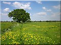 SJ3855 : Footpath to the Afon Dyfrdwy (River Dee) and Holt by Jeff Buck