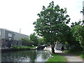 TQ3784 : Hertford Union Canal near Hackney Wick by Malc McDonald