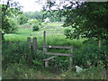 TQ0285 : Stile near Denham by Malc McDonald