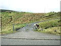 NS5309 : Gates at the entrance to Meiklehill by Ann Cook