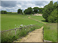 SE6083 : Steps to the visitor centre, Duncombe Park by Pauline E