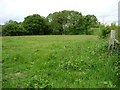 SK8918 : Line of old ironstone railway, Cribb's Meadow by Christine Johnstone