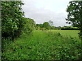 SK8918 : Looking east along the former railway embankment by Christine Johnstone