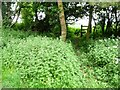 SK9118 : Footpath stile, north of Thistleton's Main Street by Christine Johnstone