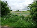 SK9319 : Field gates on the north side of Broadgate Road by Christine Johnstone