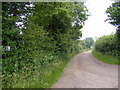 TM4682 : Green Lane Byway to Frostenden by Geographer