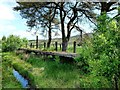 NX6068 : Loch Skerrow Halt by Mary and Angus Hogg