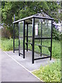 TM4781 : Bus Shelter on the A12 London Road by Geographer