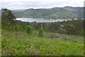 NH2325 : Coille Ruigh na Cuileige exclosure, above Loch Beinn a' Mheadhoin by Craig Wallace