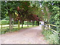 TM3076 : Entrance to Old Hall Farm by Geographer