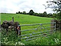 SD9754 : Field entrance, west side of Grassington Road by Christine Johnstone