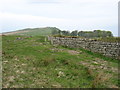 NY7567 : Hadrian's Wall on Peel Crags by David Purchase