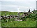 SD8778 : Broken stile, Little Fell by Christine Johnstone