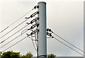 D0802 : Metal telegraph pole, Ballymena by Albert Bridge