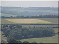 ST8620 : Melbury Abbas: field within a field at West Melbury Farm by Chris Downer