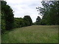 TM3783 : Footpath off the entrance of Rookery Farm by Geographer