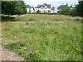 TQ1866 : Hay meadow in Fishponds Park by Marathon