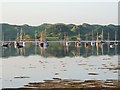 NR7894 : Moored yachts at Crinan Harbour by Patrick Mackie