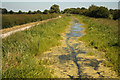 SK7129 : Grantham Canal by Richard Croft