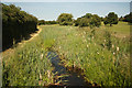 SK7633 : Grantham Canal by Richard Croft