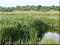 SK4545 : Erewash Valley near Eastwood by Alan Murray-Rust