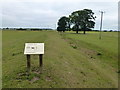 TL4493 : Stonea Camp - Eastern earthworks by Richard Humphrey