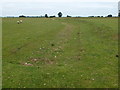 TL4492 : Stonea Camp - South western earthworks by Richard Humphrey