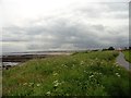 NZ4161 : View south from the cliff tops at Whitburn by Robert Graham