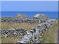 L9306 : Stone walls, fields and barns, Inishmaan by Oliver Dixon