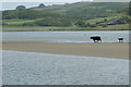 V7726 : Crossing the estuary by Graham Horn