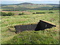 NT6163 : Ready for the grouse shoot by M J Richardson