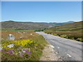 NO2799 : Garnshiel road descending from The Strone by Alan O'Dowd